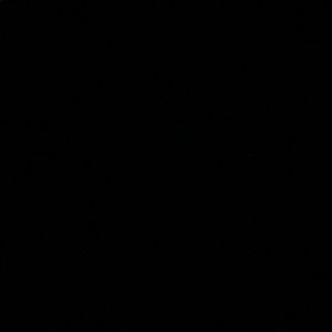 Meet your Posher, Bella